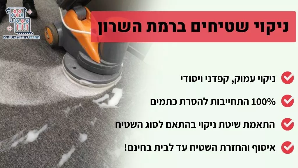 ניקוי שטיחים ברמת השרון