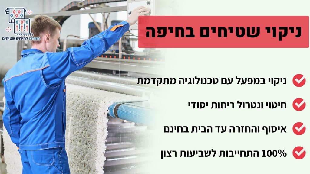 ניקוי שטיחים בחיפה