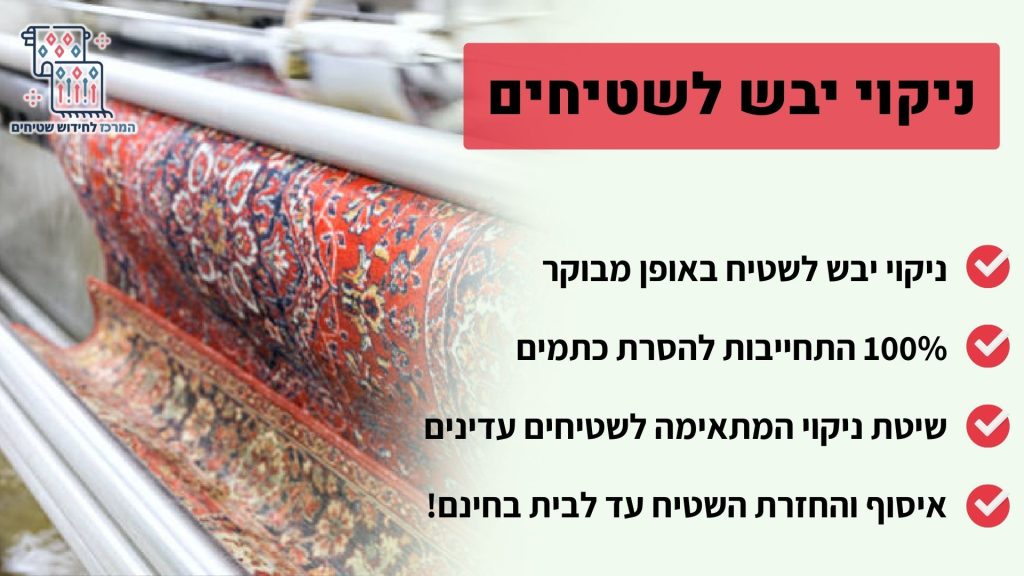 ניקוי יבש לשטיחים